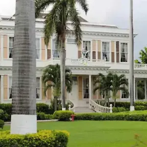 The Artist Place At Oxford New , Kingston Jamaica